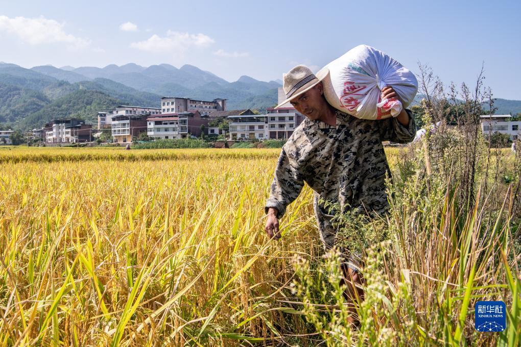 天通金下载